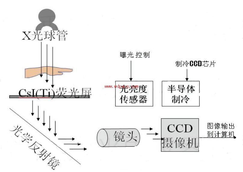 什么是数码工作原理_双金属片什么工作原理